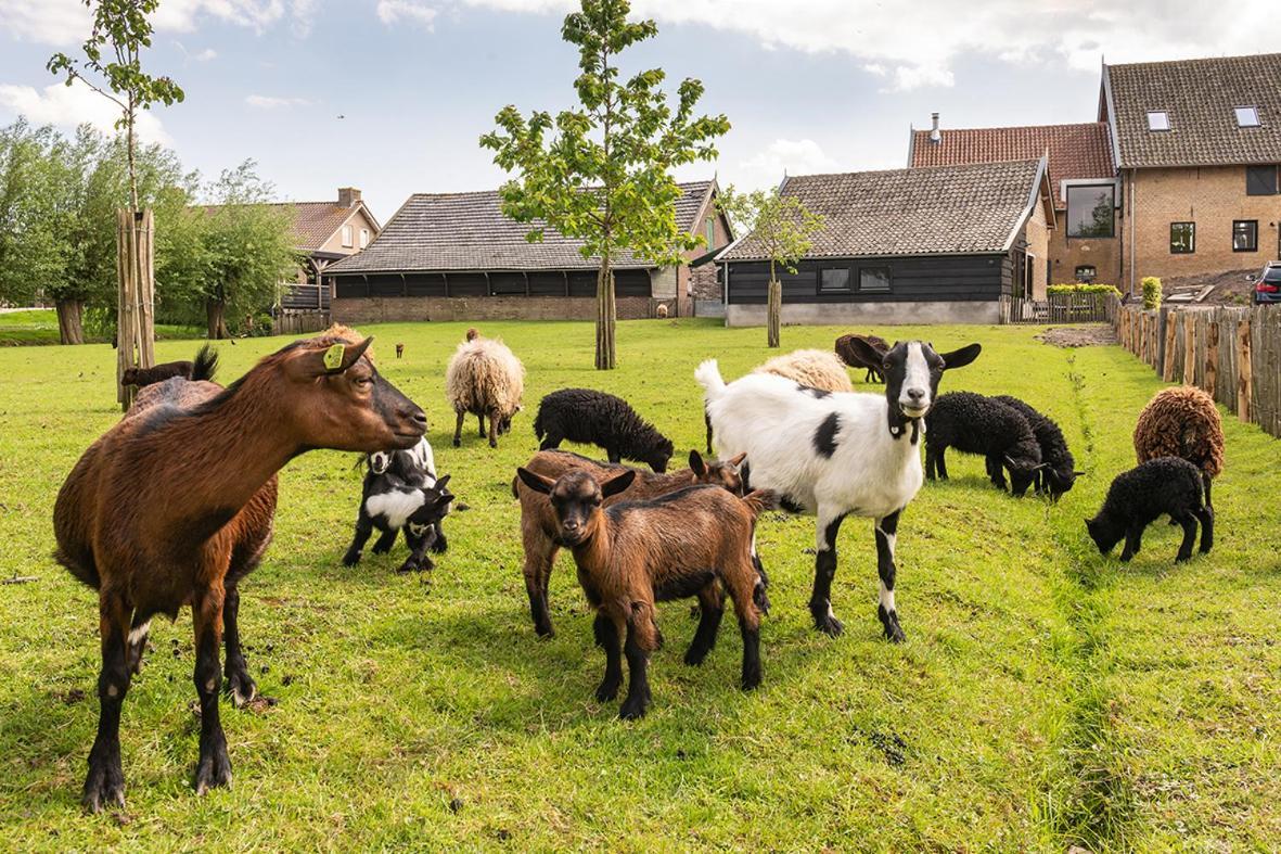 Vakantiehuisje In De Polder Oud-Alblas Luaran gambar